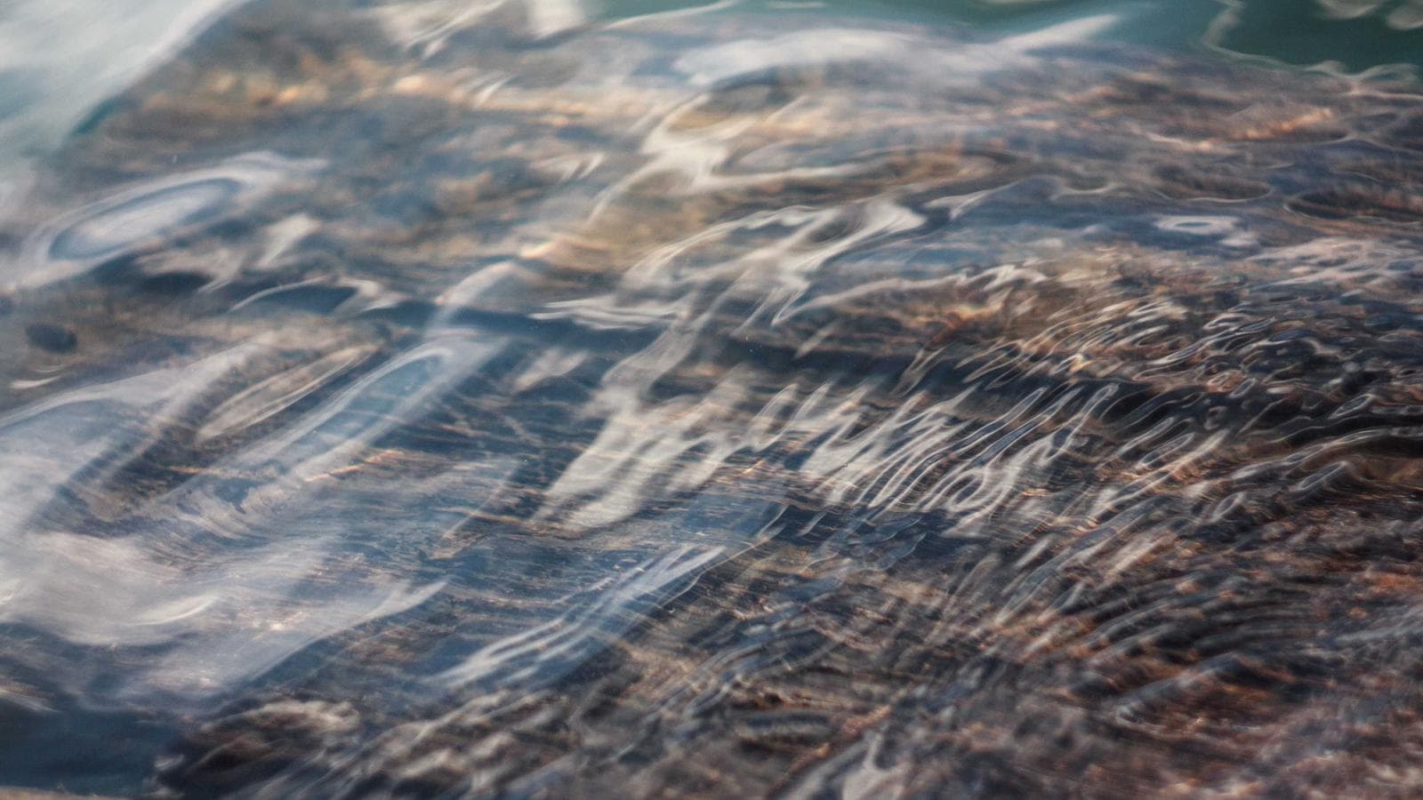 Pesca Artesanal del Litoral.